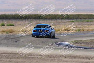 media/Oct-04-2025-OnGrid (Sat) [[44bd565ffa]]/Purple Group/Grapevine/